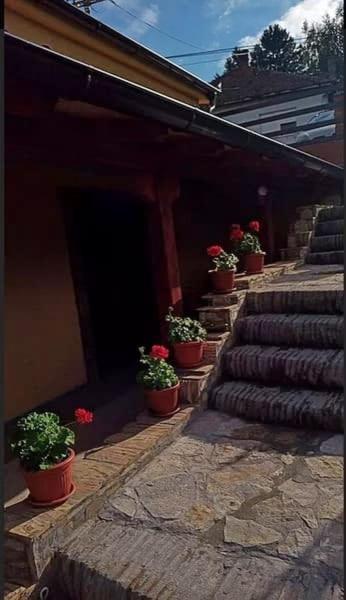 Apartmani Zapis Врдник Экстерьер фото